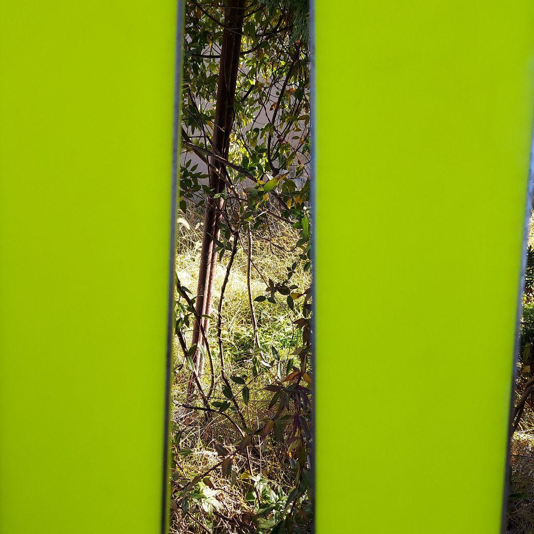 FISCHER RC4 SC スキー 165cm ブラック/イエロー