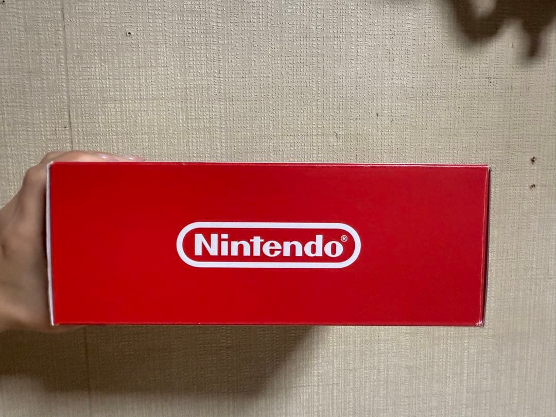 Nintendo Switch Lite グレー 本体 ACアダプター無し