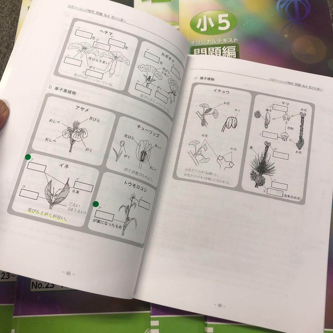 希学園　5年　理科　オリジナルテキスト　第１分冊～第４分冊　2020年度