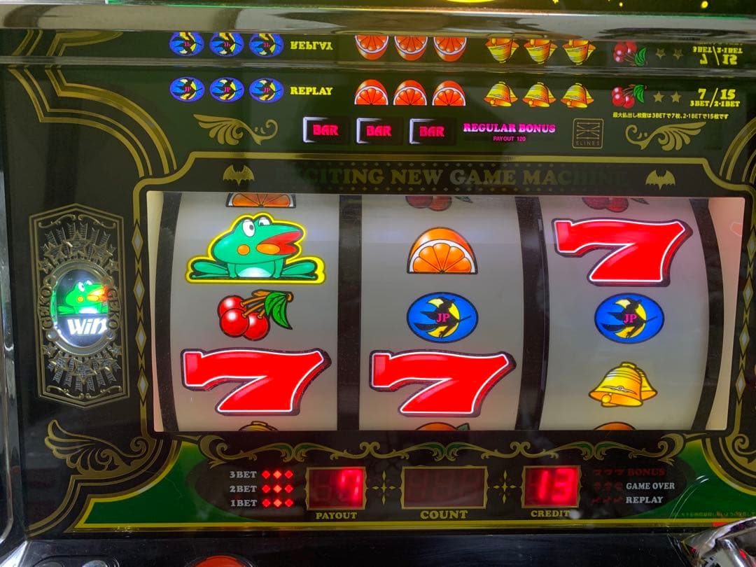 Expressoニューパルサー DX 不要機