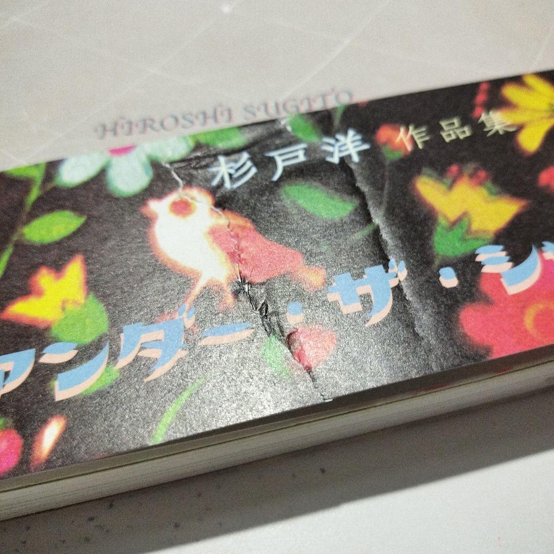 杉戸洋 アート作品集 UNDER THE SHADOW アンダー・ザ・シャドー