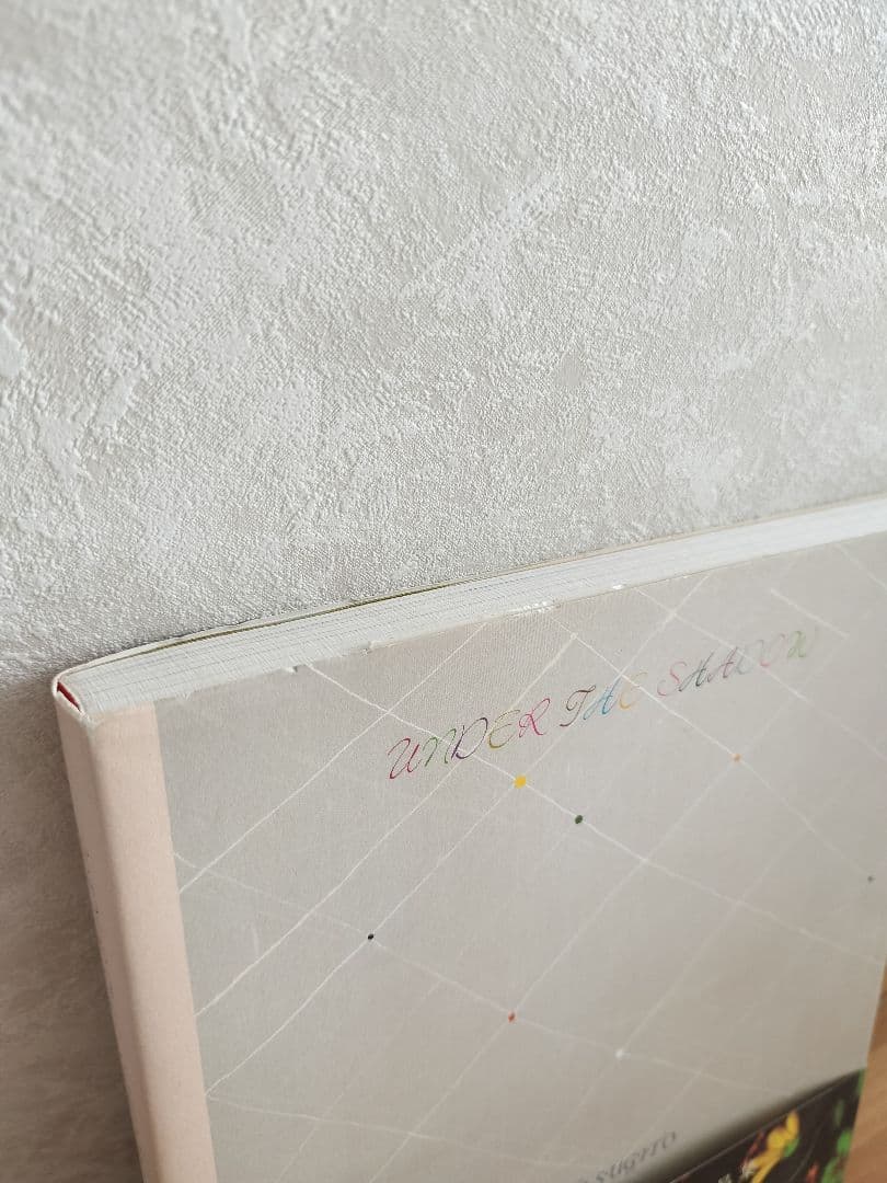 杉戸洋 アート作品集 UNDER THE SHADOW アンダー・ザ・シャドー