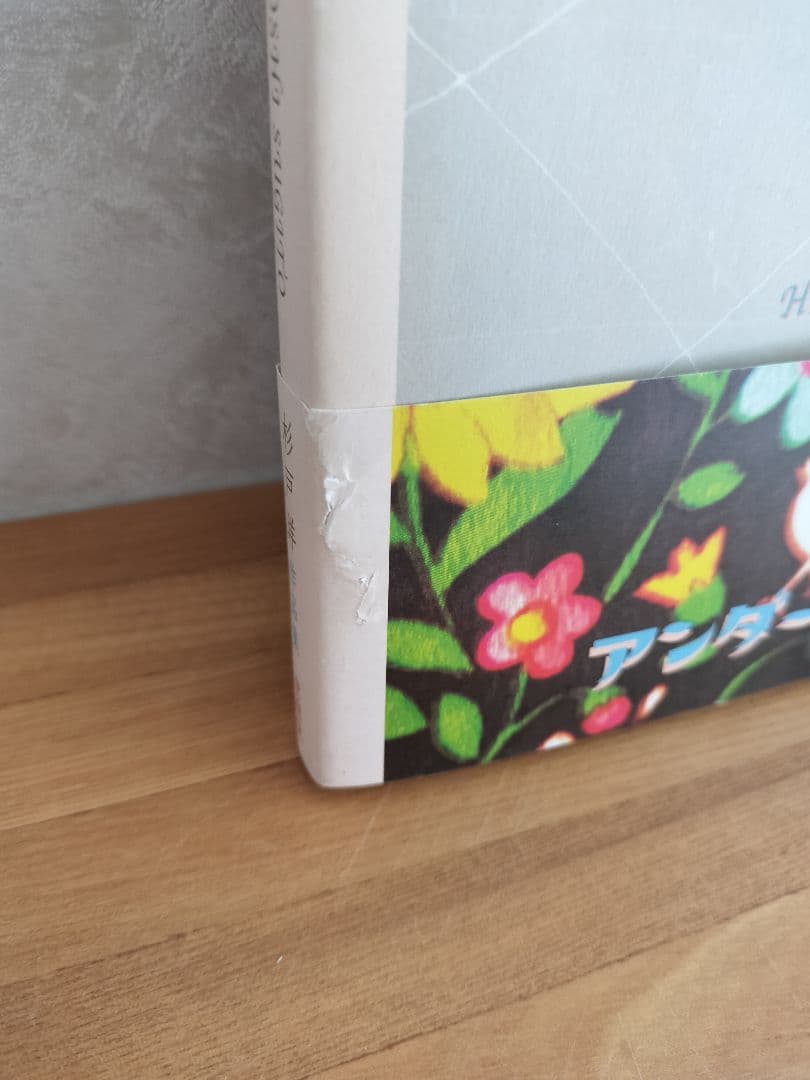 杉戸洋 アート作品集 UNDER THE SHADOW アンダー・ザ・シャドー