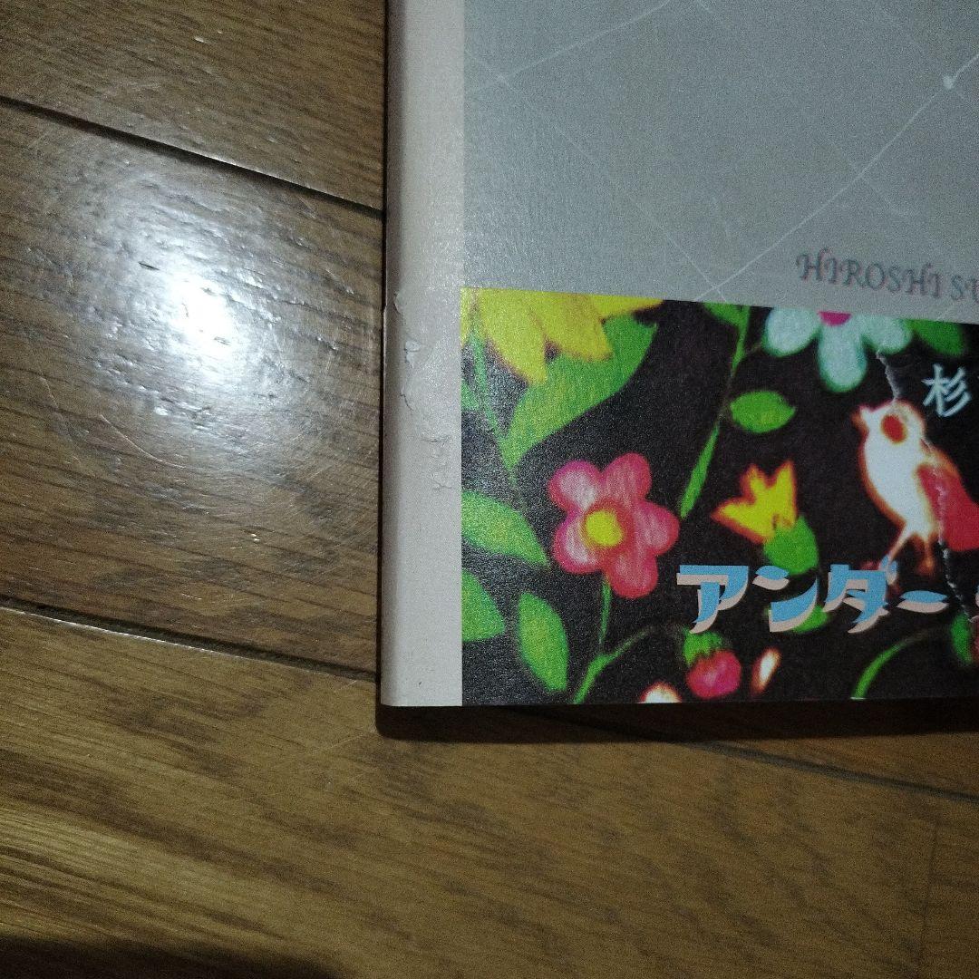 杉戸洋 アート作品集 UNDER THE SHADOW アンダー・ザ・シャドー