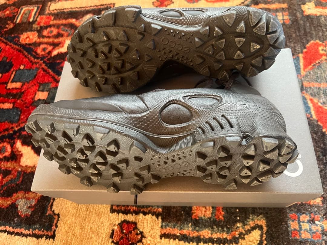 靴 ECCO BIOM C TRAIL byNatasha Ramsay