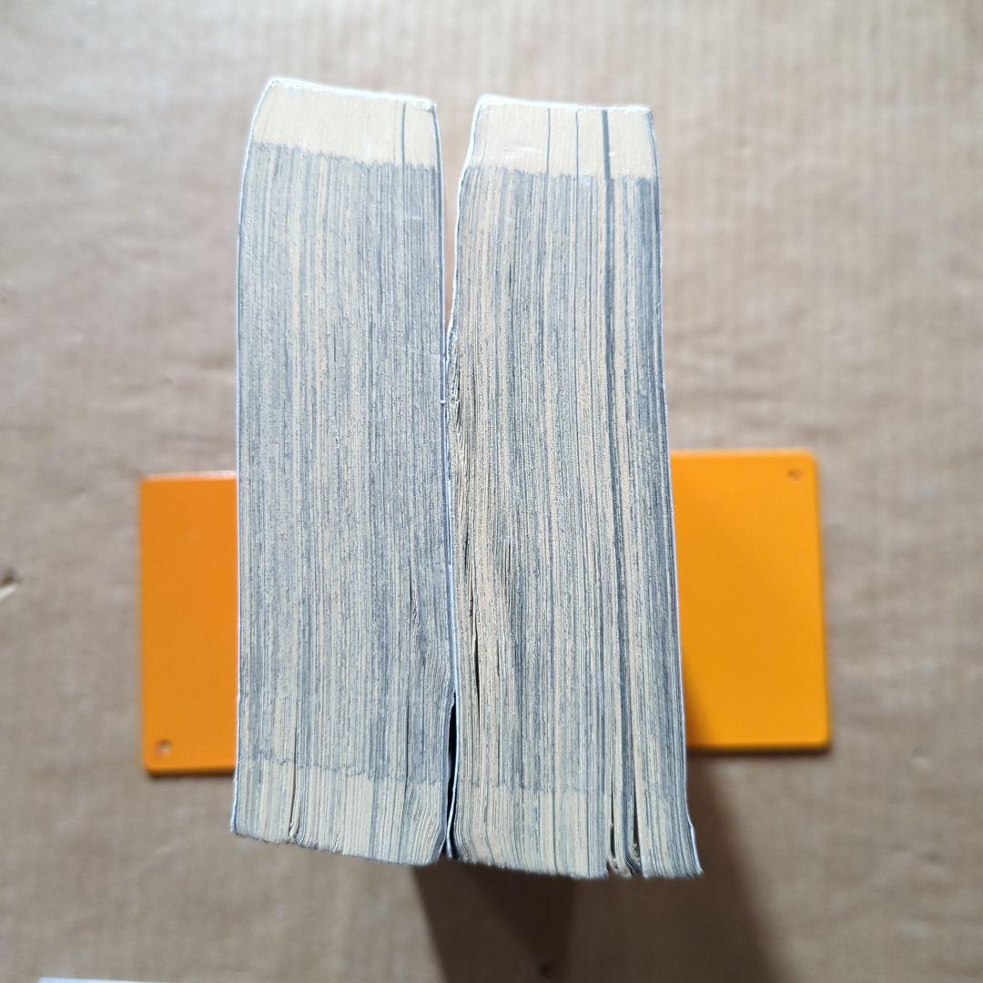 響～小説家になる方法～公式映画原作本 　平手友梨奈　柳本光晴　小栗旬 欅坂46