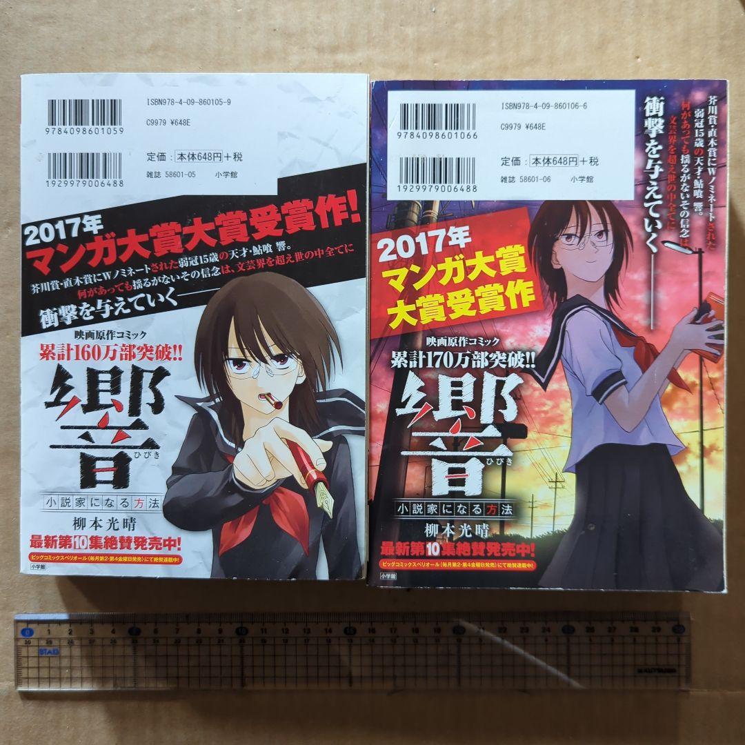 響～小説家になる方法～公式映画原作本 　平手友梨奈　柳本光晴　小栗旬 欅坂46