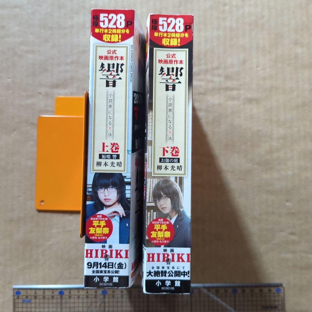 響～小説家になる方法～公式映画原作本 　平手友梨奈　柳本光晴　小栗旬 欅坂46