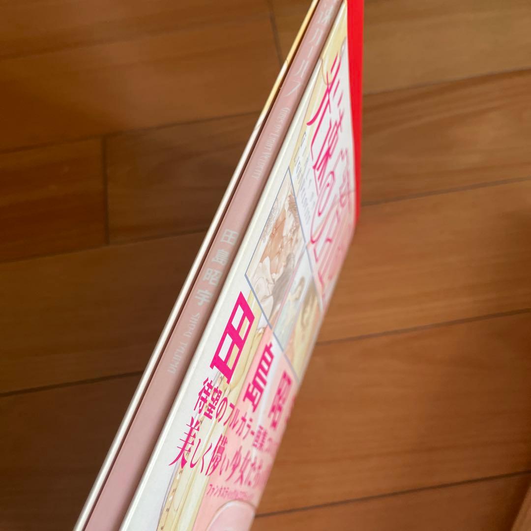 マダラカラーズ・光速ガールズ・ベイビー★スターダスト 3冊セット 田島昭宇画集