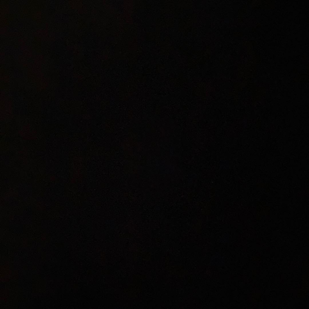 キング・コング & ザ・ジャングル・ガールズ 恋のブン・ブン・ダラー 8cmcd