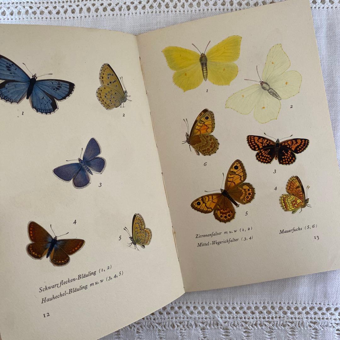 人気３冊　インゼル文庫まとめ売り　蝶　鳥　木　図鑑　洋書　古書