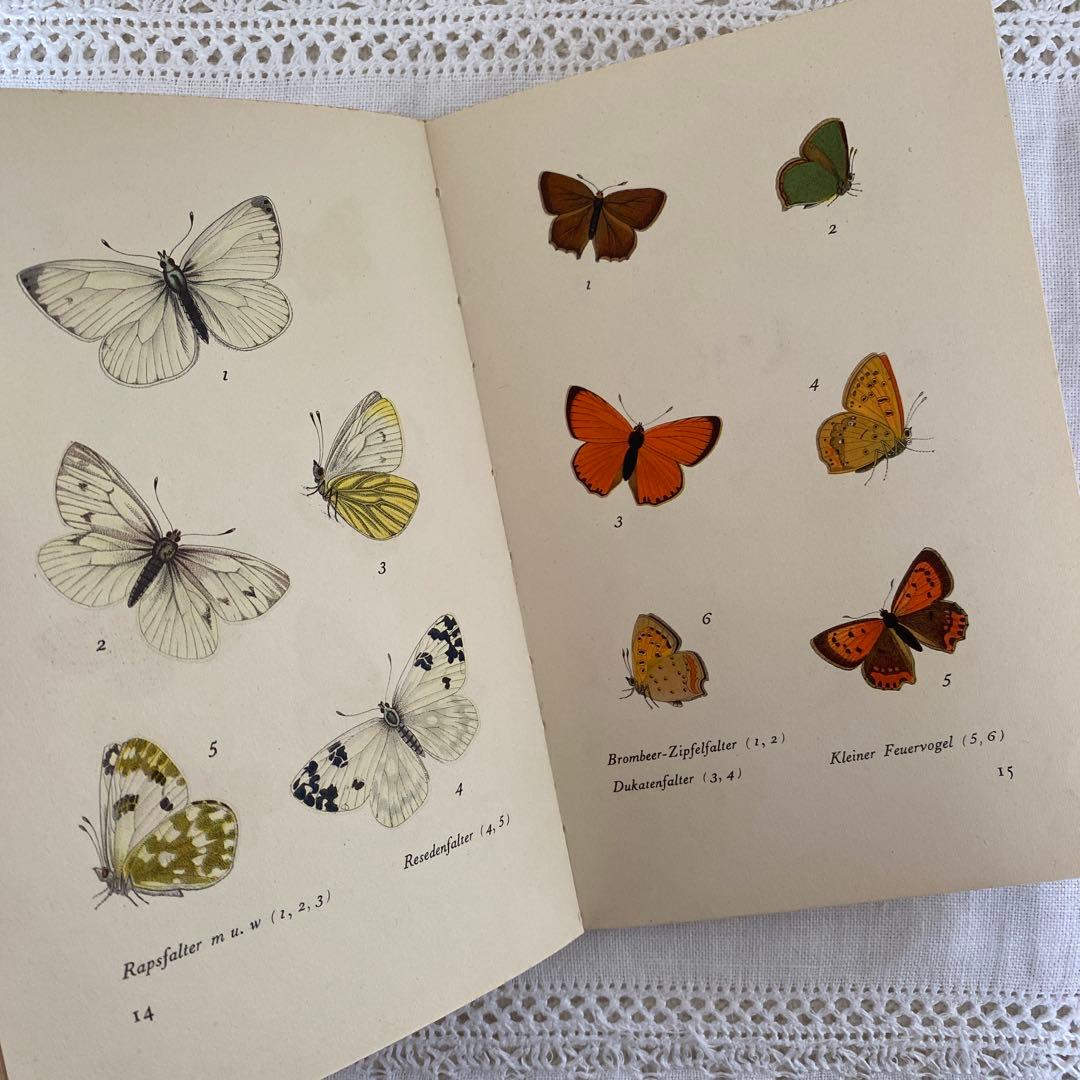 人気３冊　インゼル文庫まとめ売り　蝶　鳥　木　図鑑　洋書　古書