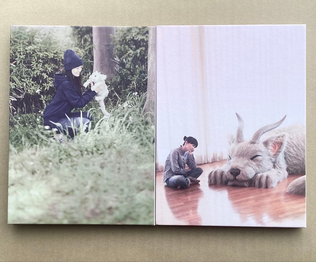 スピッツ 醒めない デラックスエディション FC限定盤 2CD+DVD