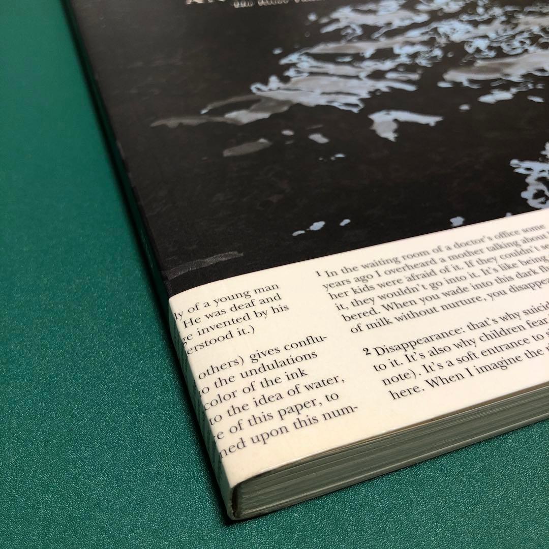 アート・デザイン・音楽 ANOTHER WATER by Roni Horn