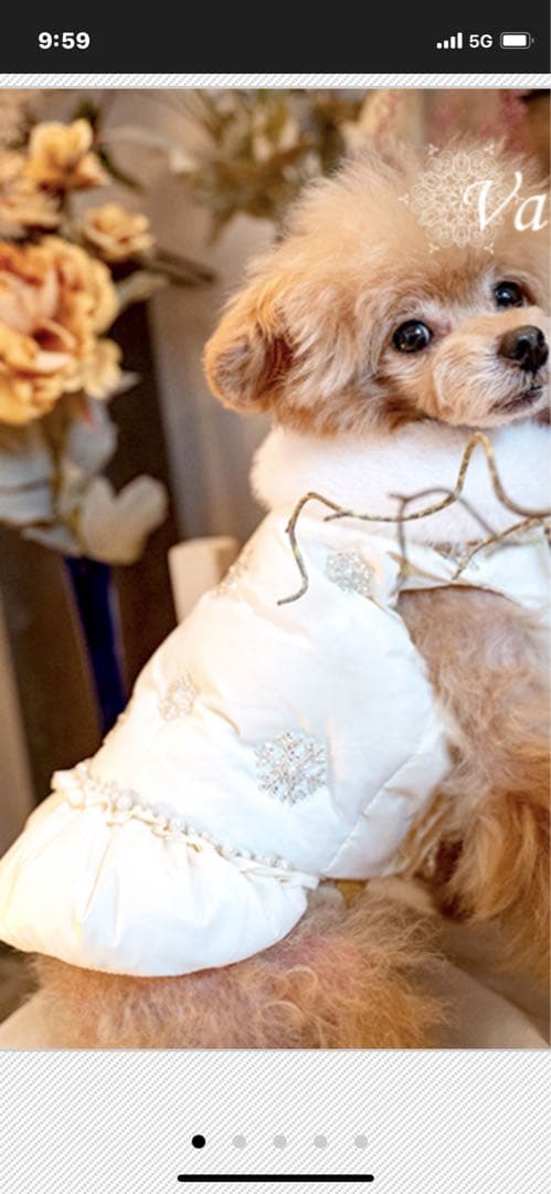 ホワイト 雪の結晶刺繍 犬服　SM