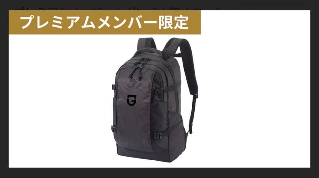 《新品未使用品》ガンバ大阪2025年プレミアムメンバー特典グッズ2点セット