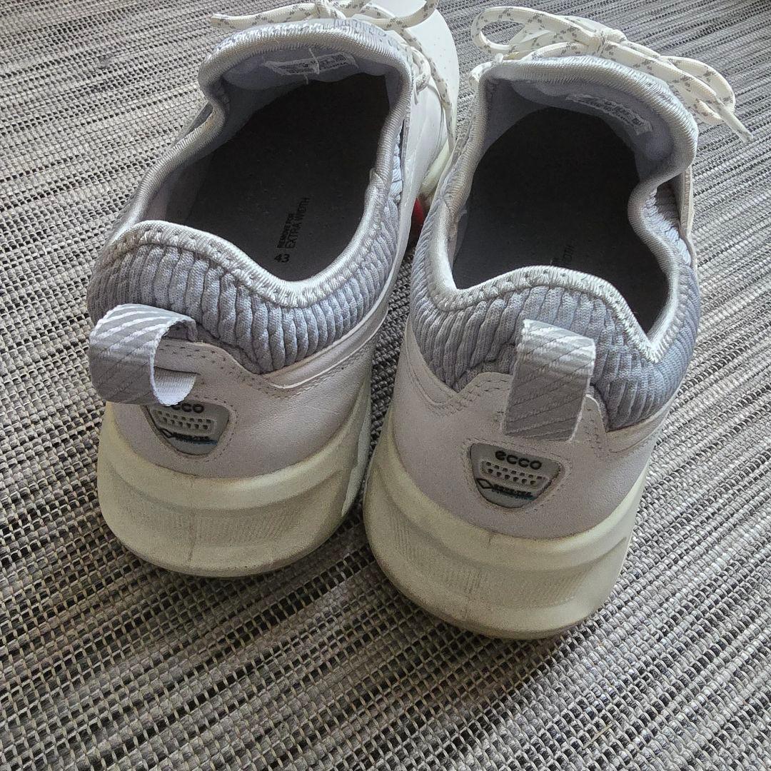 【コース未使用】ECCO GOLF BIOM C4 ゴアテックスゴルフシューズ