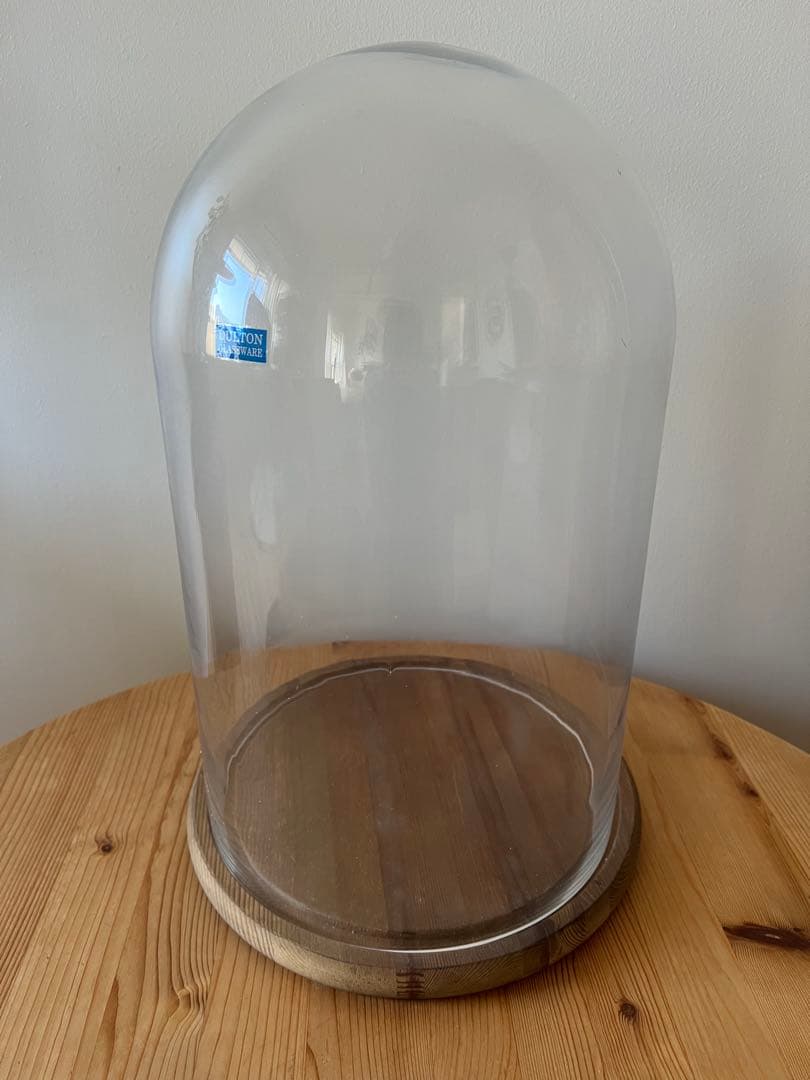 ガラスドーム ダルトン DULTON M