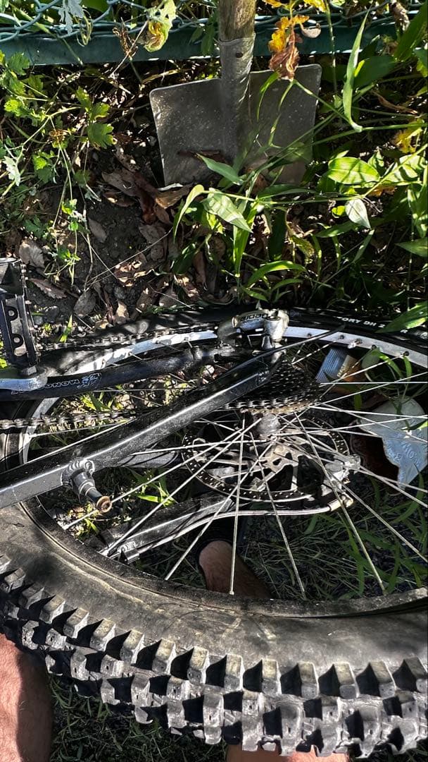 MON PRO 20thアニバーサリーモデルダウンヒルバイク