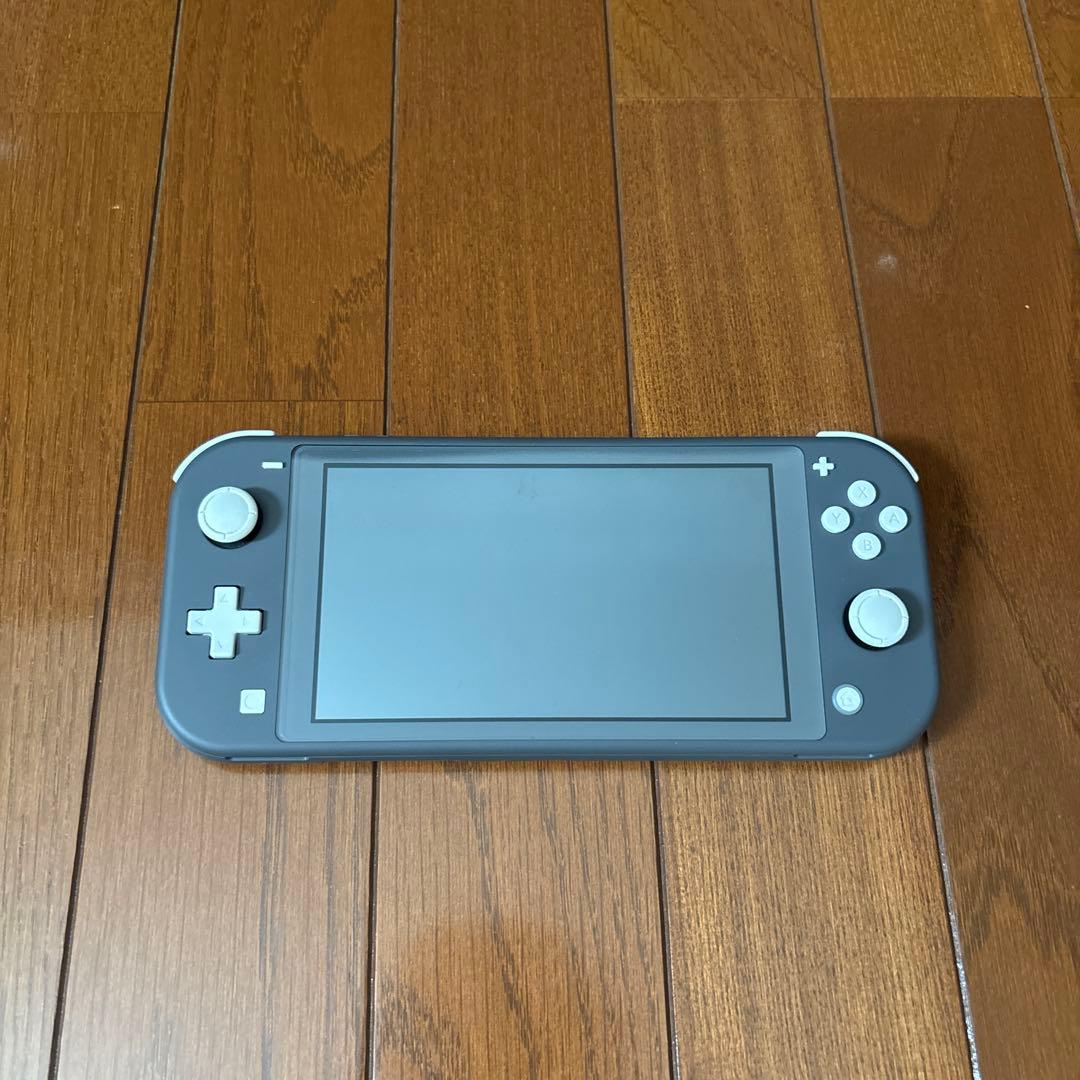 Nintendo Switch Lite 本体とケースセット
