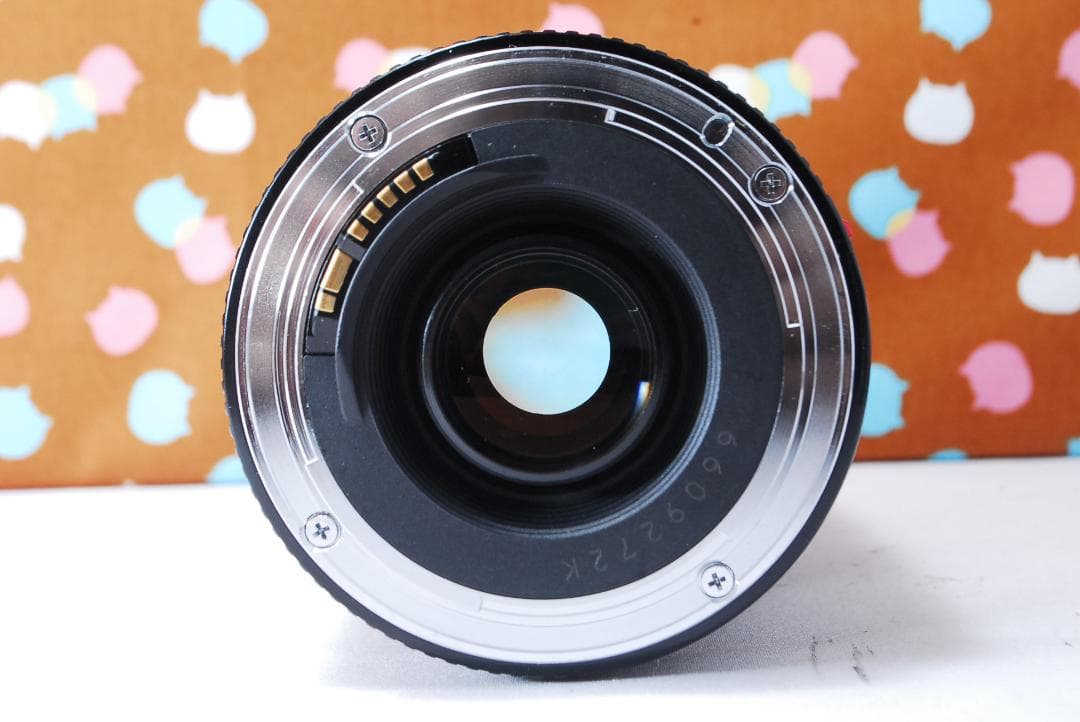 ✨人気の望遠レンズ✨Canon EF 75-300mm F4-5.6