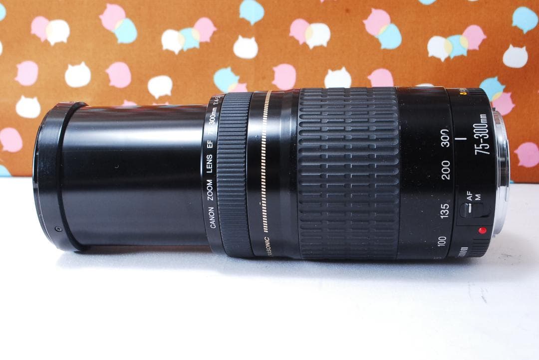 ✨人気の望遠レンズ✨Canon EF 75-300mm F4-5.6