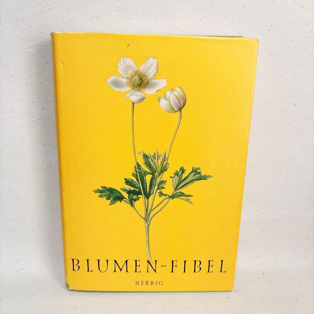 繊細なタッチの植物画 2冊セット Elsa Felsko 1960年