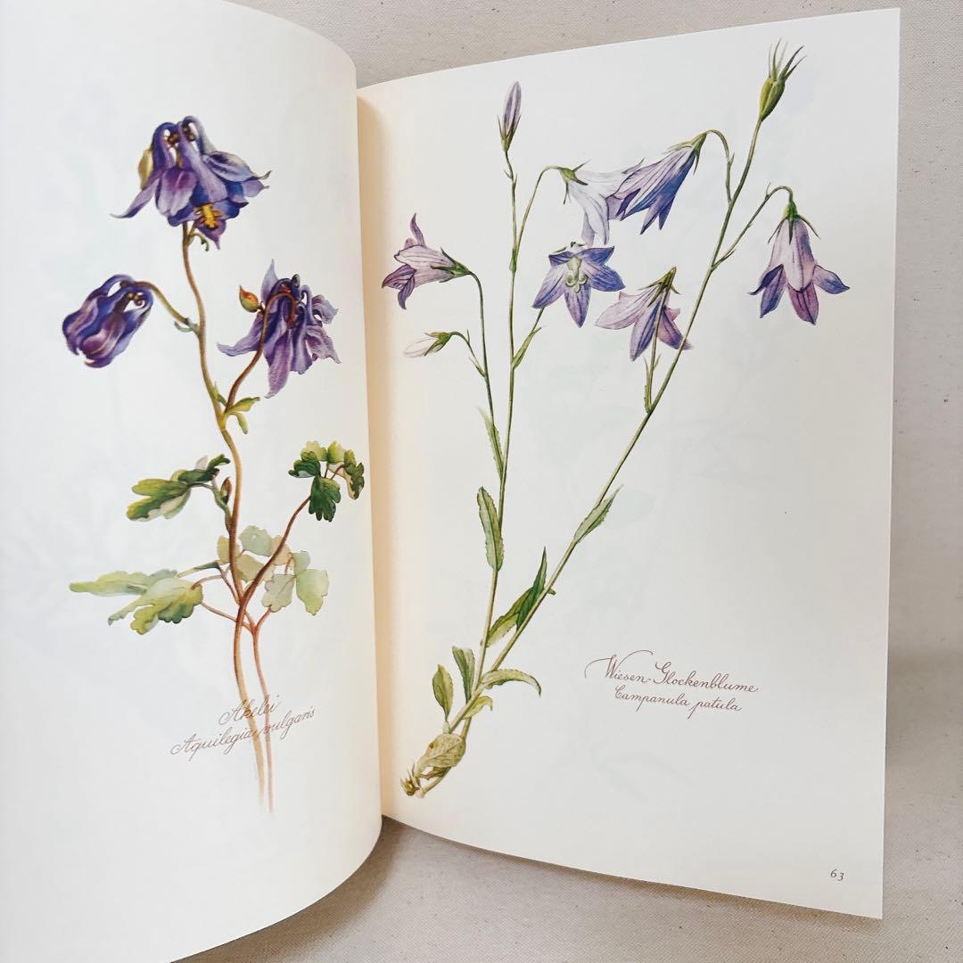繊細なタッチの植物画 2冊セット Elsa Felsko 1960年
