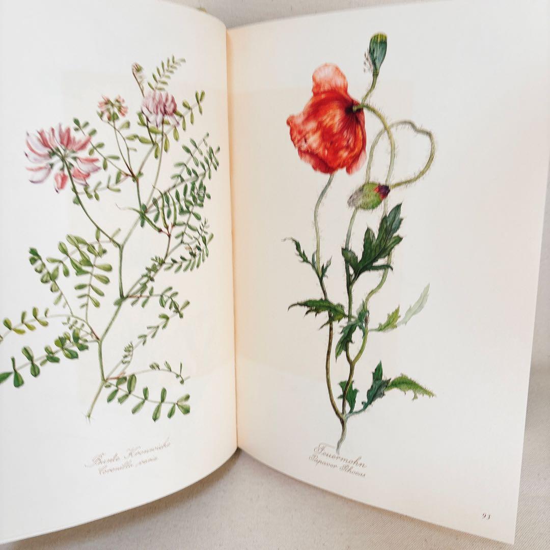 繊細なタッチの植物画 2冊セット Elsa Felsko 1960年