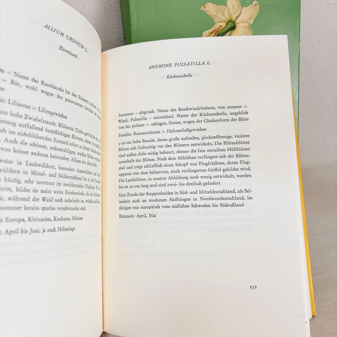 繊細なタッチの植物画 2冊セット Elsa Felsko 1960年