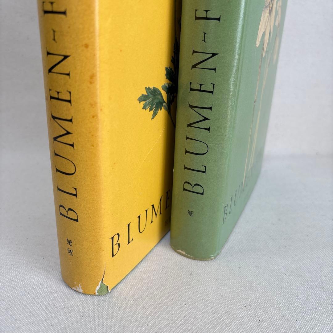 繊細なタッチの植物画 2冊セット Elsa Felsko 1960年