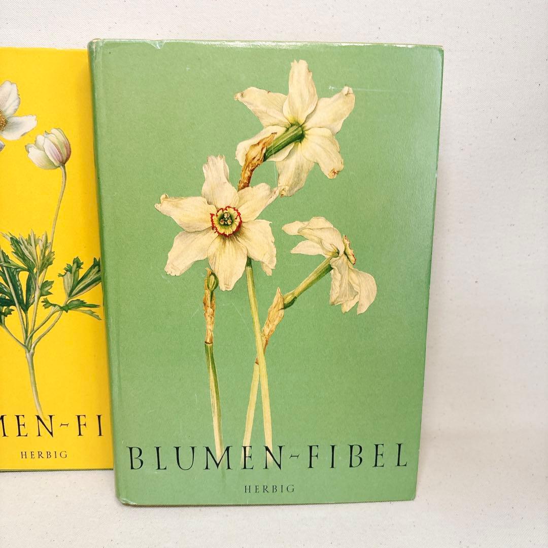 繊細なタッチの植物画 2冊セット Elsa Felsko 1960年