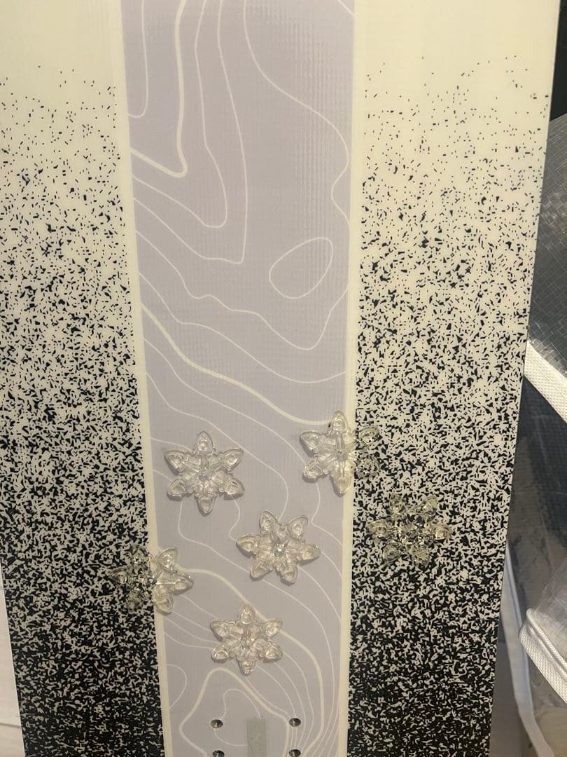 サロモン板　確認用