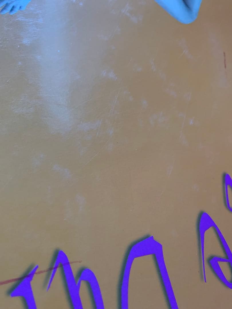 ブリジットバルドー 写真集 EDITIONS VADE RETRO