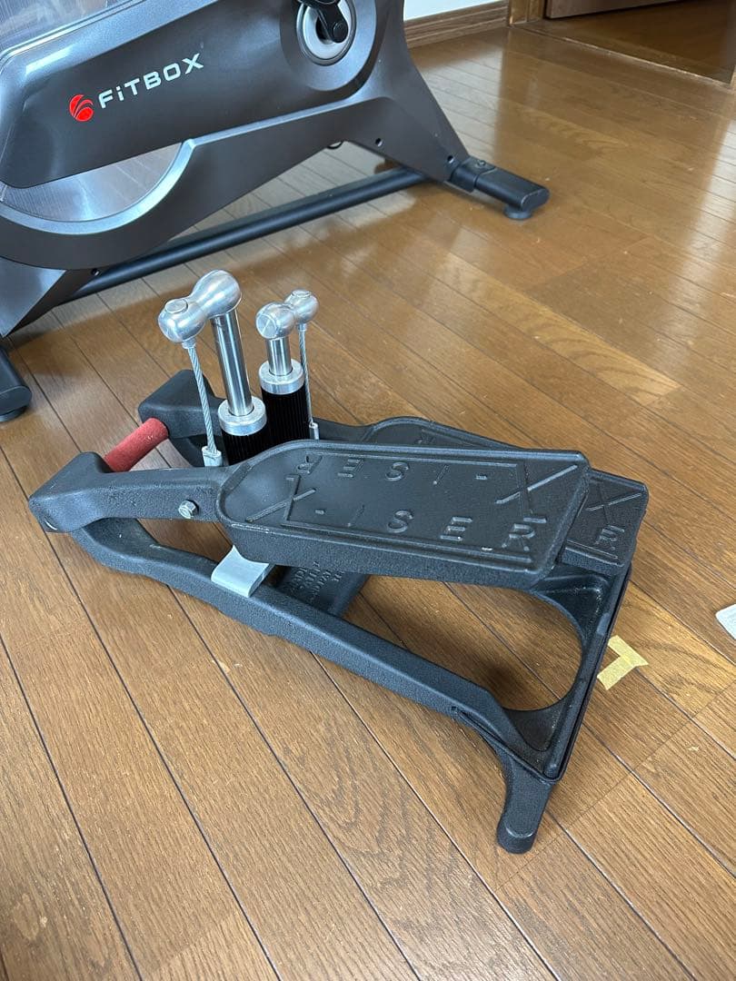 Xiser X-ISER エクサー ステッパー　プロトレーナー　xiser