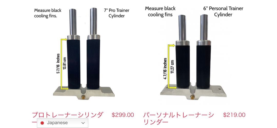 Xiser X-ISER エクサー ステッパー　プロトレーナー　xiser