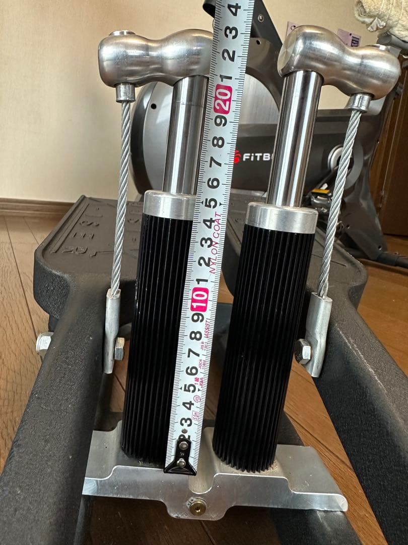 Xiser X-ISER エクサー ステッパー　プロトレーナー　xiser