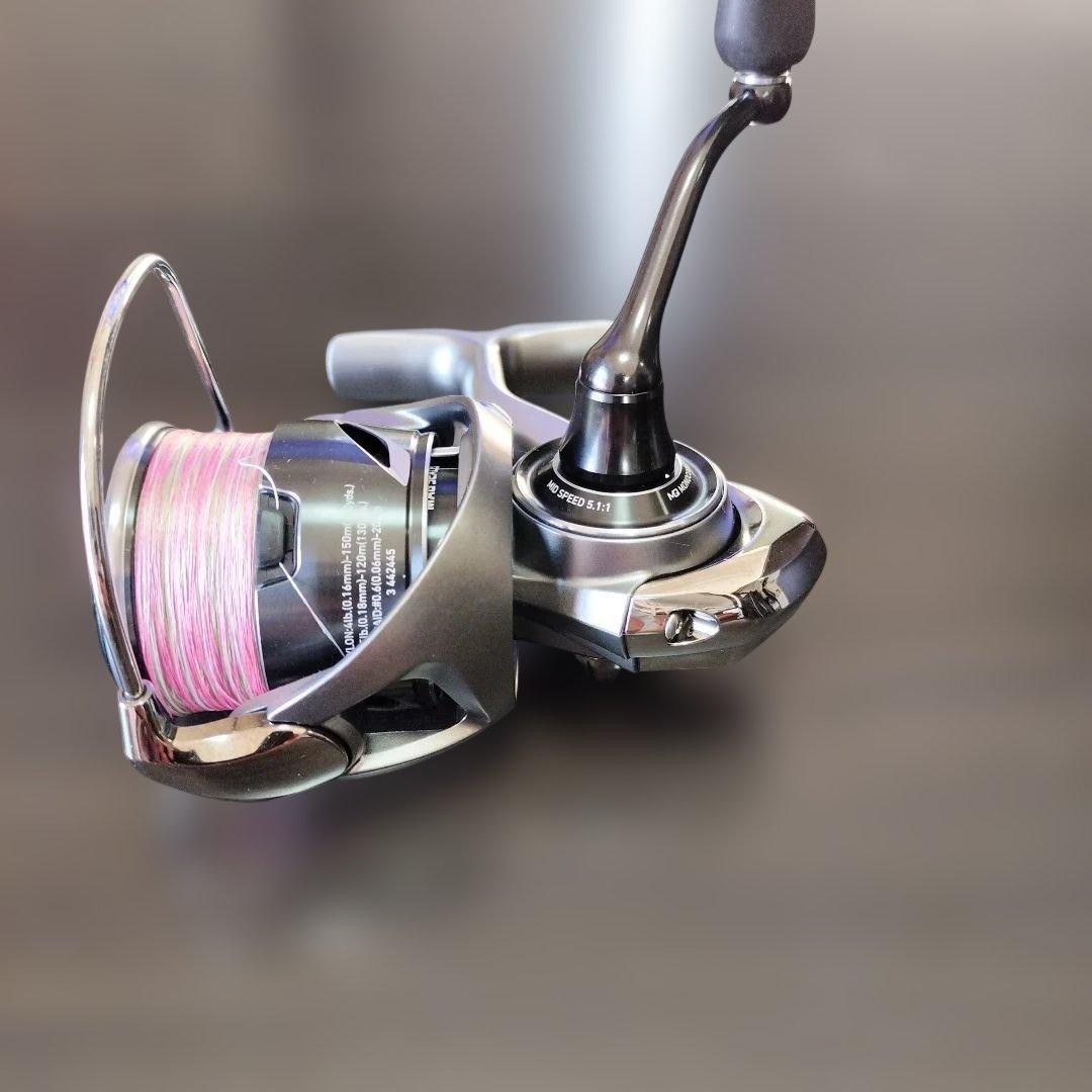 25 カルディア　エギング