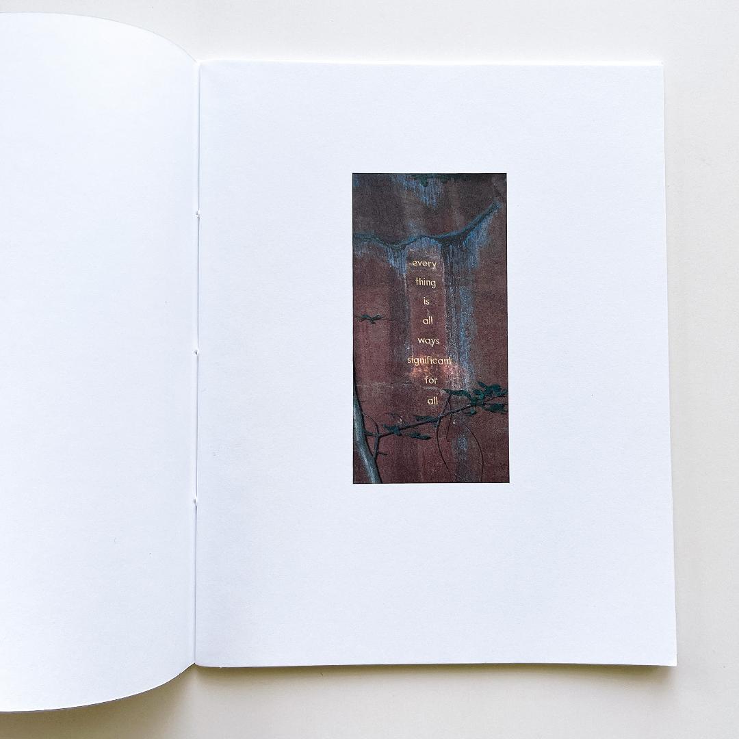 herman de vries「fragments」 ヘルマン・デ・フリース