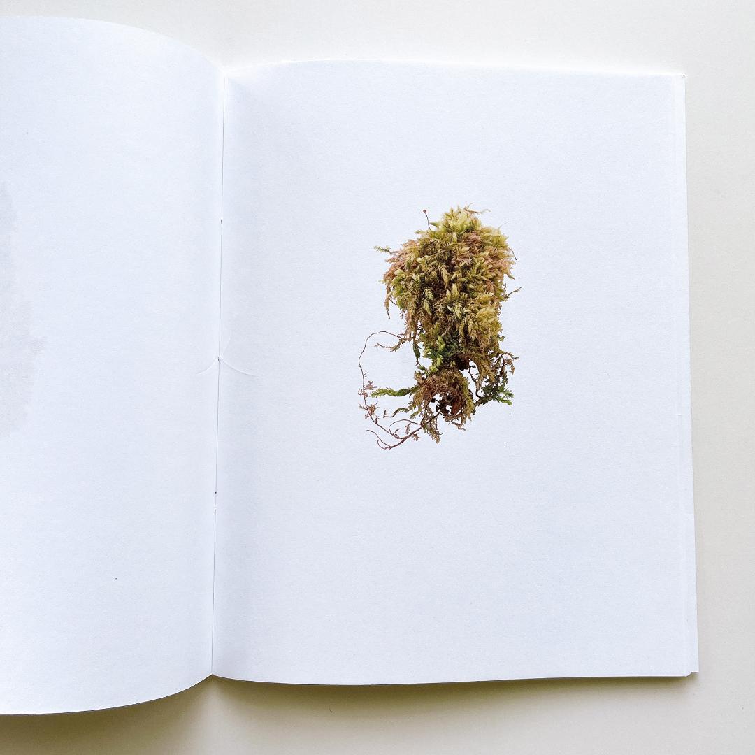 herman de vries「fragments」 ヘルマン・デ・フリース