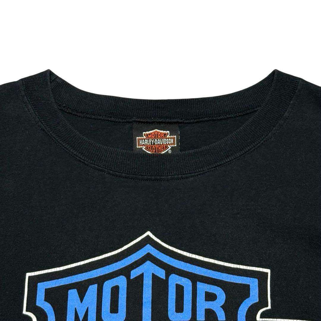 希少 90's HARLEY DAVIDSON ブルーフレイム イーグル ロンT