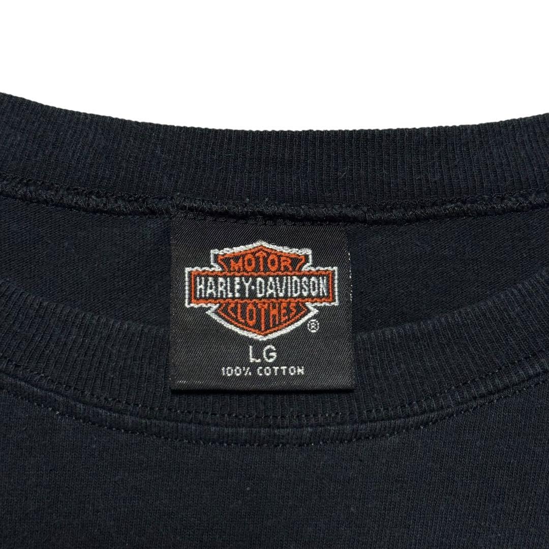 希少 90's HARLEY DAVIDSON ブルーフレイム イーグル ロンT