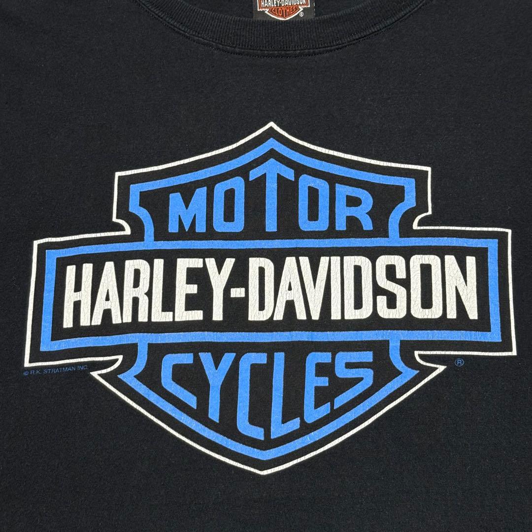 希少 90's HARLEY DAVIDSON ブルーフレイム イーグル ロンT