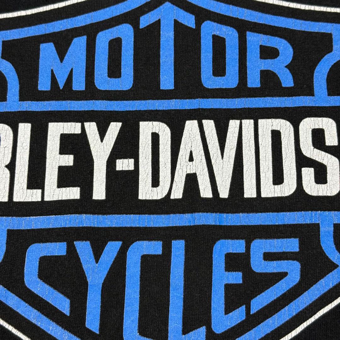 希少 90's HARLEY DAVIDSON ブルーフレイム イーグル ロンT