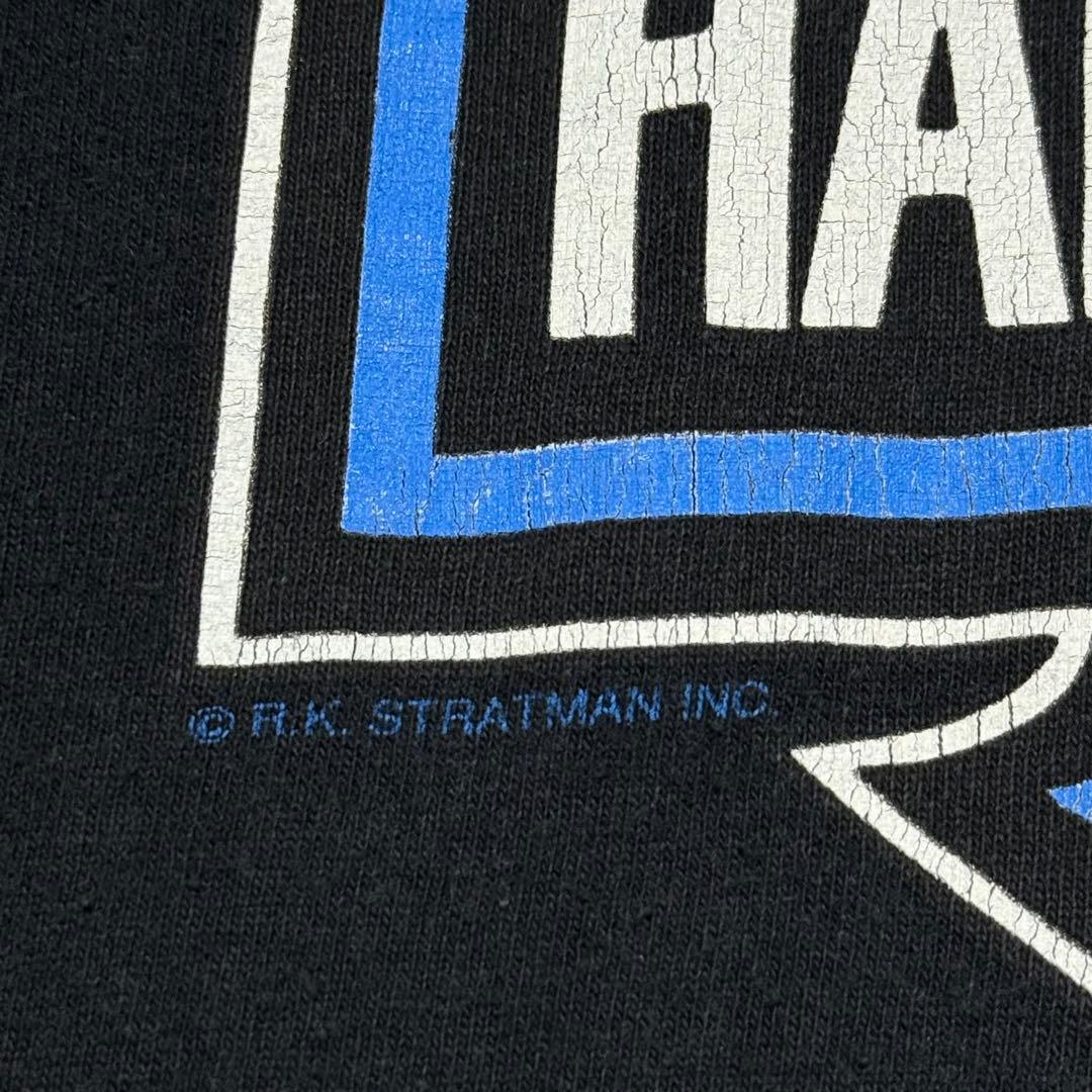 希少 90's HARLEY DAVIDSON ブルーフレイム イーグル ロンT