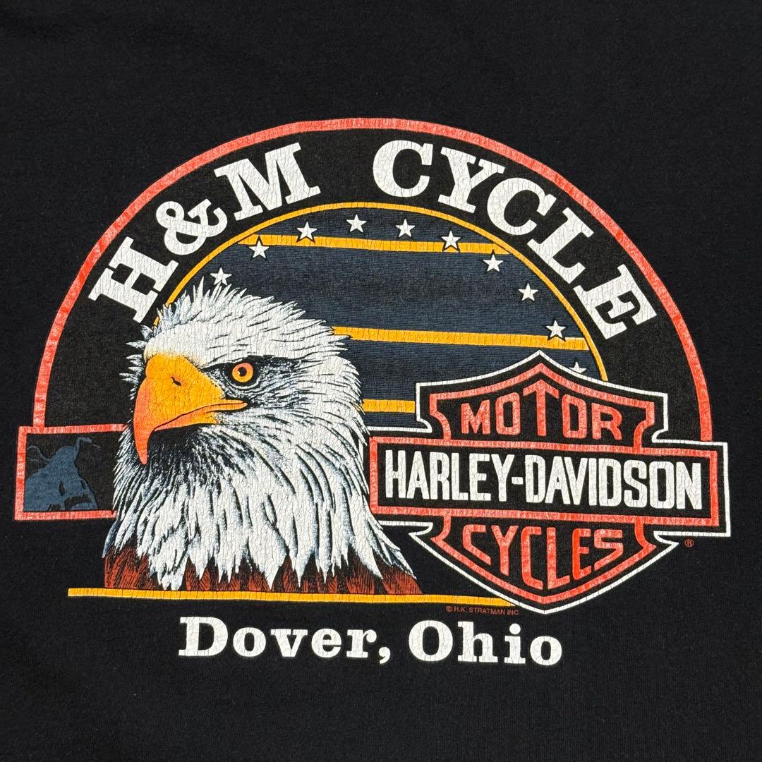 希少 90's HARLEY DAVIDSON ブルーフレイム イーグル ロンT