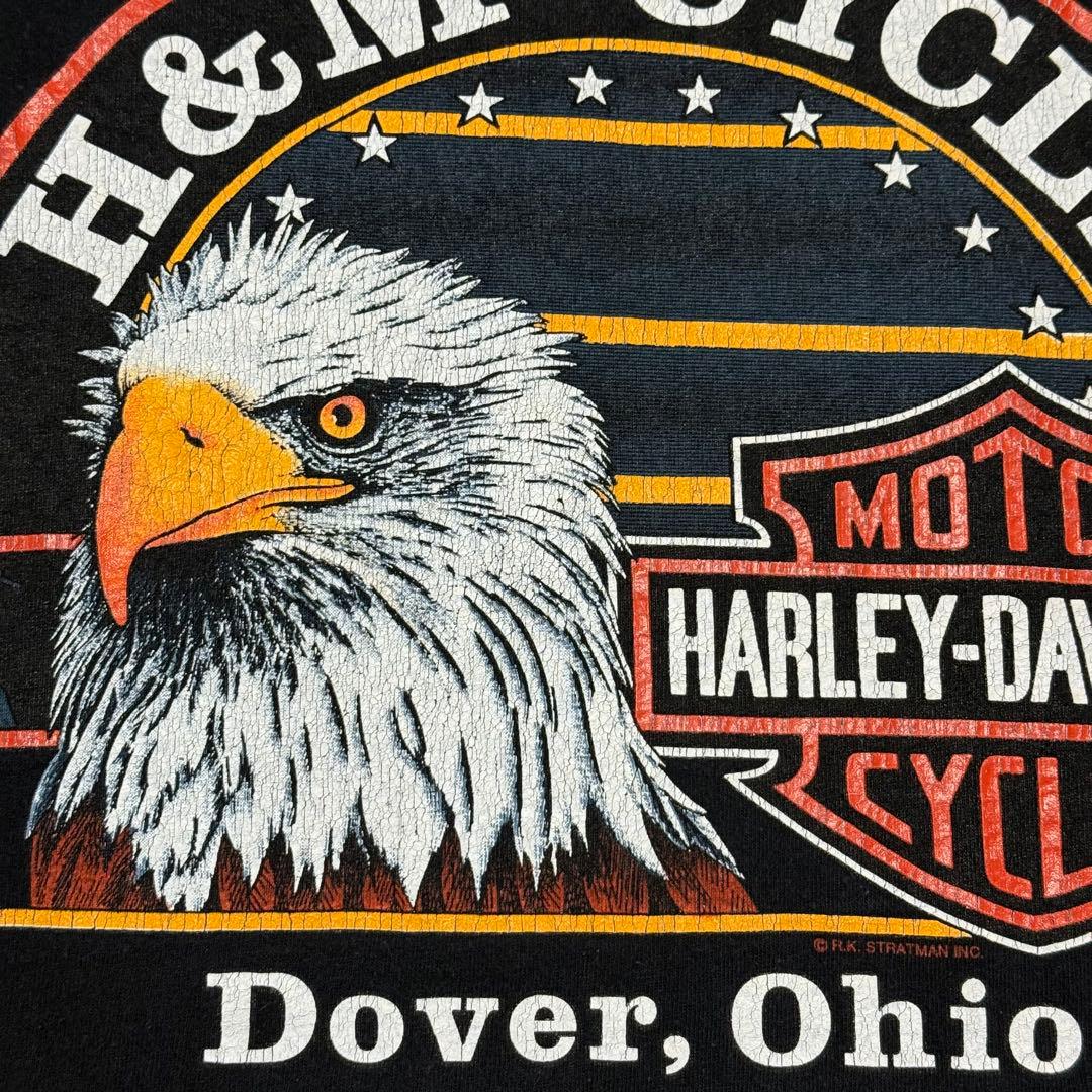希少 90's HARLEY DAVIDSON ブルーフレイム イーグル ロンT