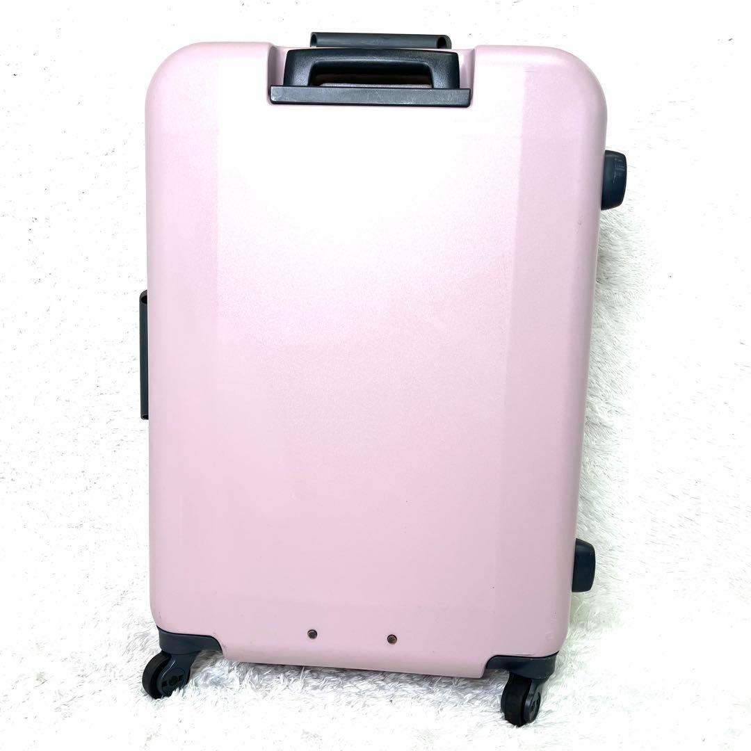 Blue_bird_7　極美品 プロテカ ACE エキノックスライト