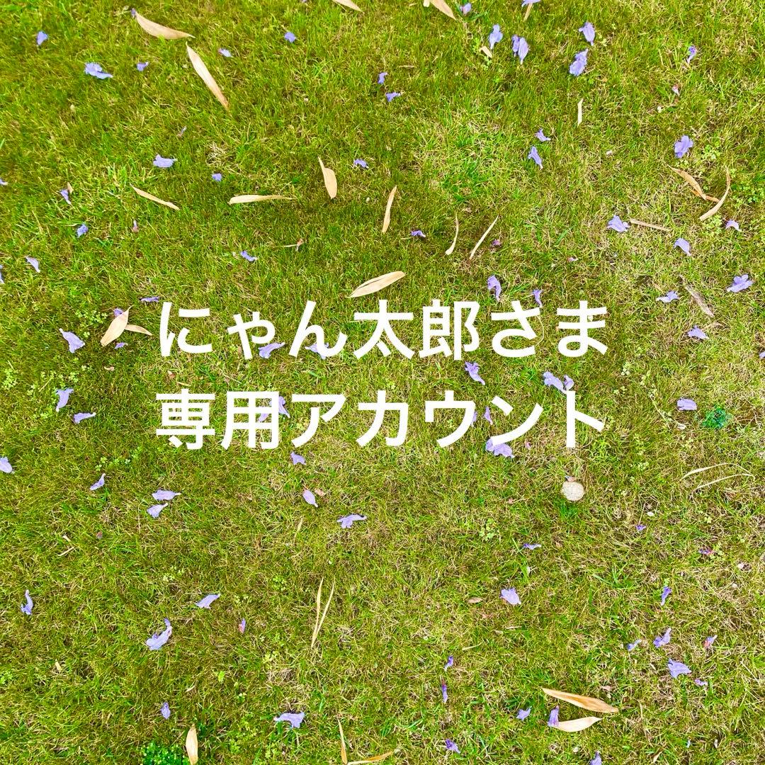 BBW ❁　シナモンシュガープレッツェルクッキー　Bath and body