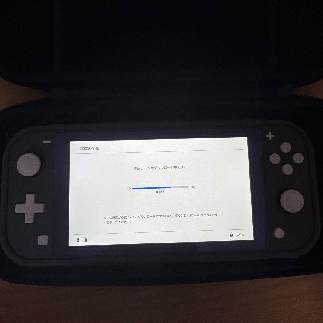 Switch lite グレー